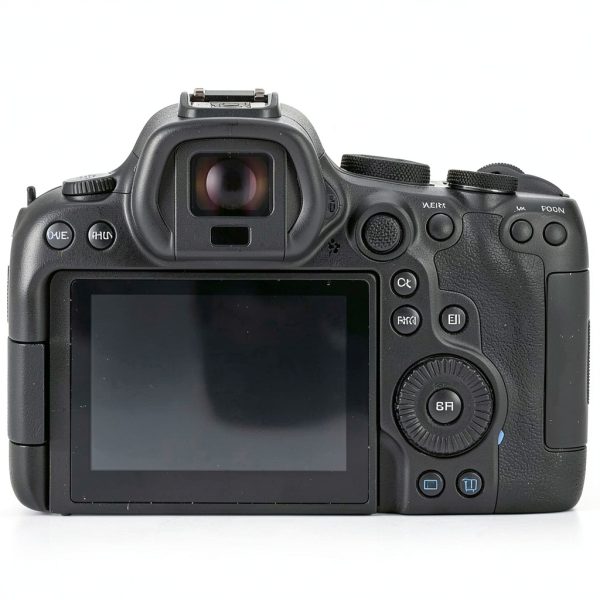 Canon EOS R6 Mark II Mirrorless Camera Pro Bundle Kit-3