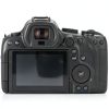 Canon EOS R6 Mark II Mirrorless Camera Pro Bundle-3